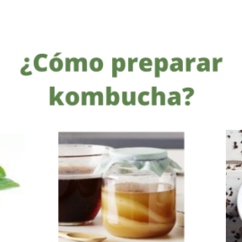 cómo preparar kombucha