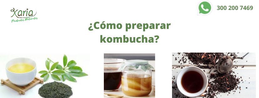 cómo preparar kombucha